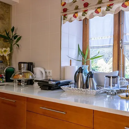 Luxurious House In Braga With Pool Barreiros (Amares)