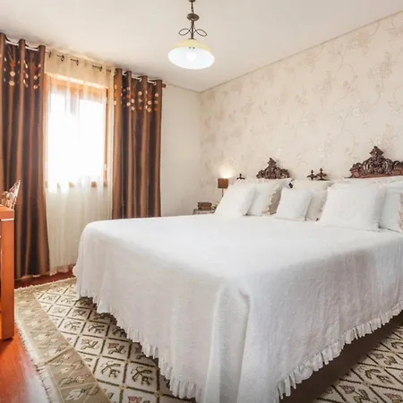 Vakantiehuis Luxurious House In Braga With Pool